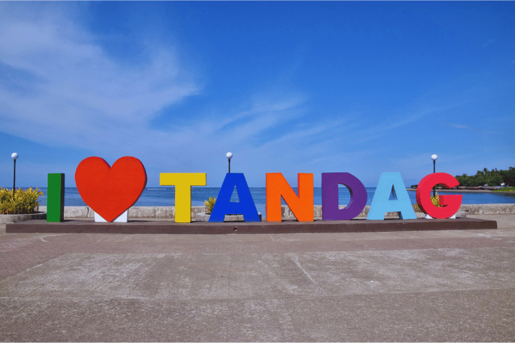 Food delivery in Tandag City